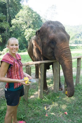 2019_11_12_144530_060