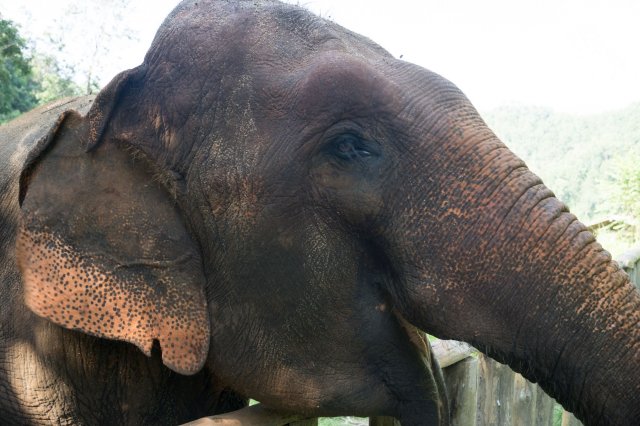 2019_11_12_144716_061