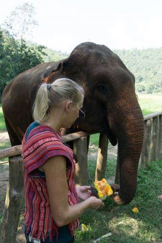 2019_11_12_144858_062