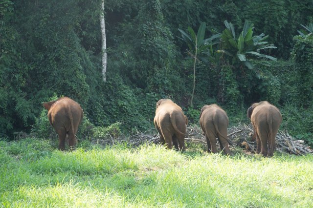 2019_11_12_150857_065