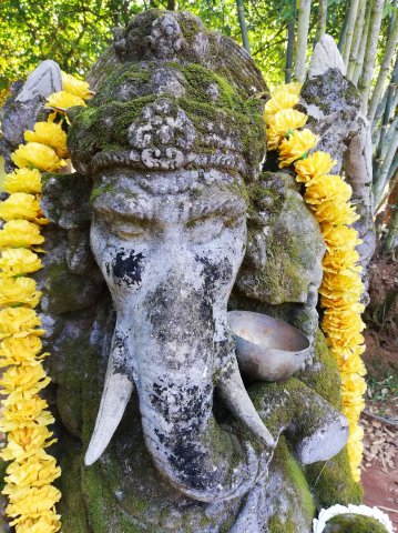 2019_11_13_124609_027