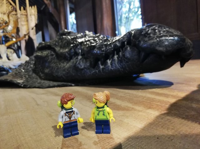 2019_11_13_131700_028