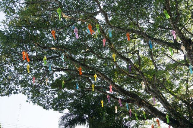 2019_11_13_170559_016