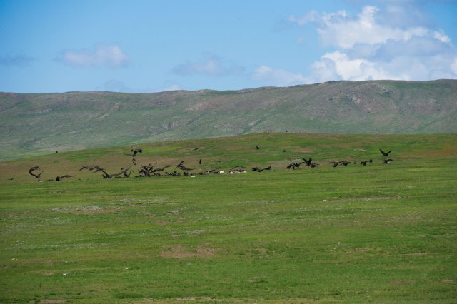 2019_08_21_115207_005