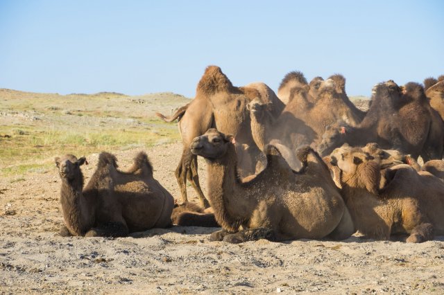 2019_08_21_180433_008