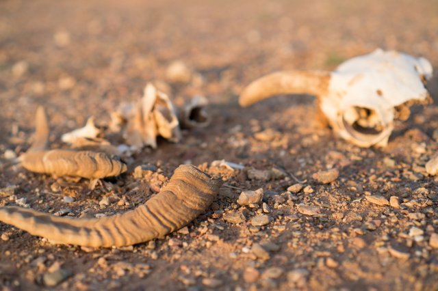 2019_08_22_063843_039