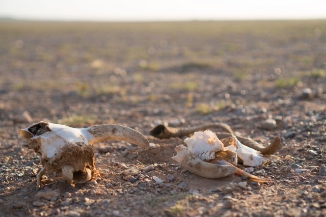 2019_08_22_065212_041