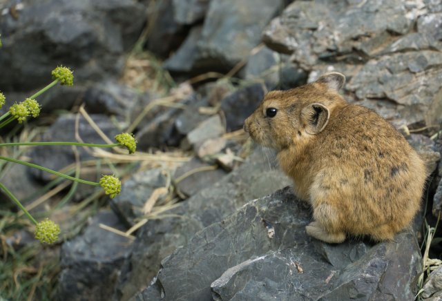 2019_08_22_161901_060