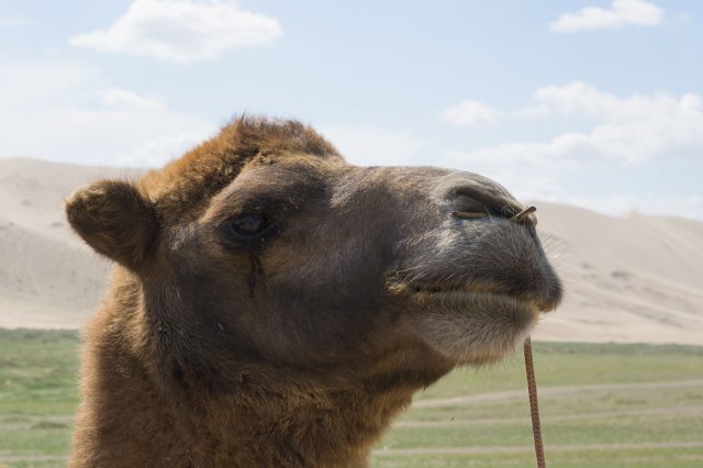 2019_08_23_151413_089