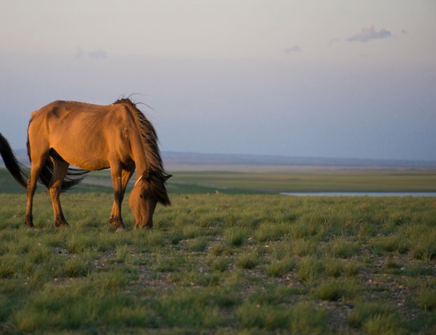 2019_08_24_194511_186