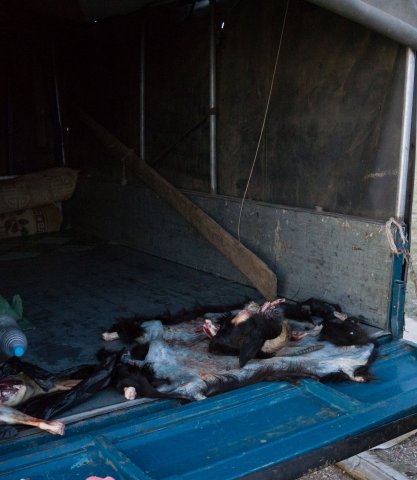 2019_08_24_201121_191