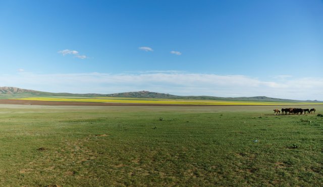 2019_08_25_180023_261