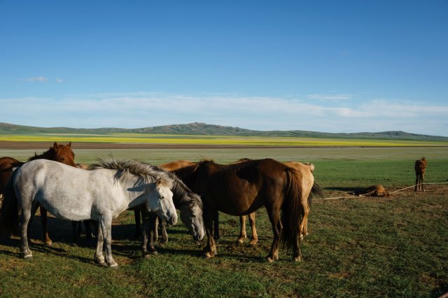 2019_08_25_180813_265