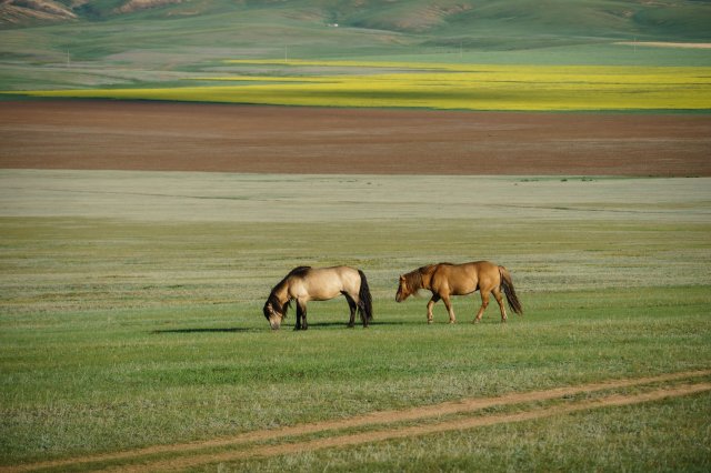 2019_08_25_183213_275