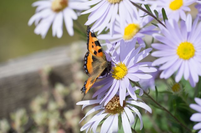 2019_08_28_120311_368