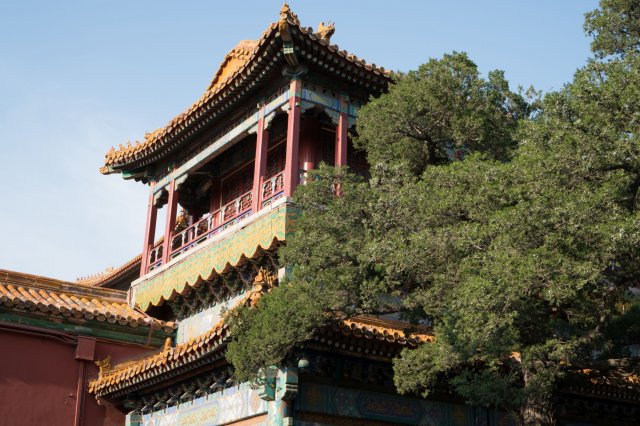 2019_09_01_164544_074