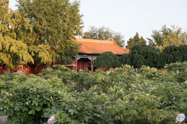 2019_09_01_181201_080