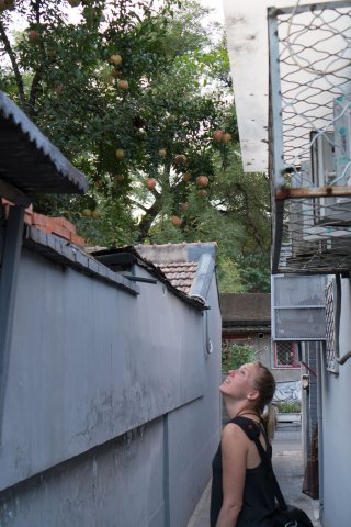 2019_09_01_182219_082