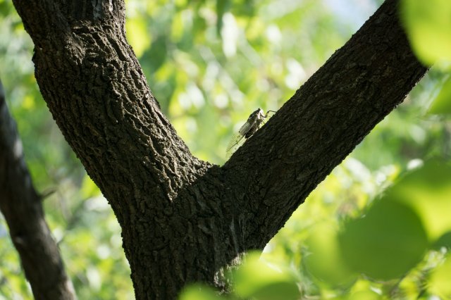 2019_09_02_112140_034