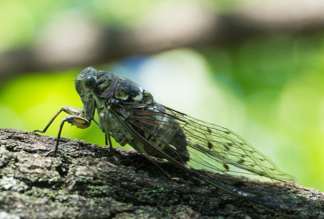 2019_09_02_112218_035