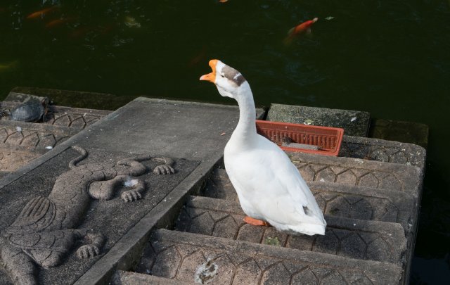 2019_09_05_141549_032