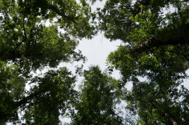 2019_09_05_144746_035