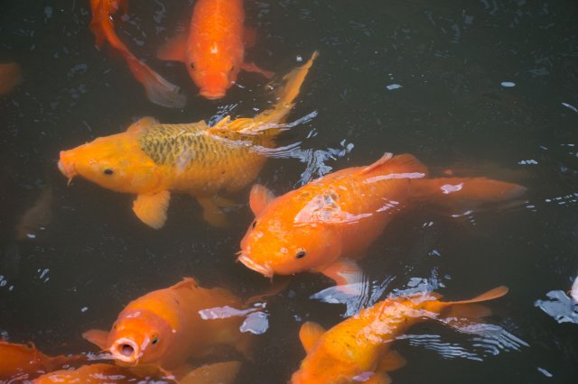 2019_09_05_145251_011