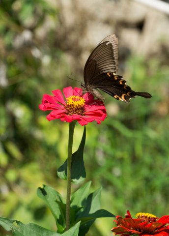 2019_09_07_152957_003