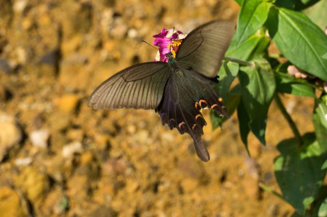 2019_09_07_153016_004