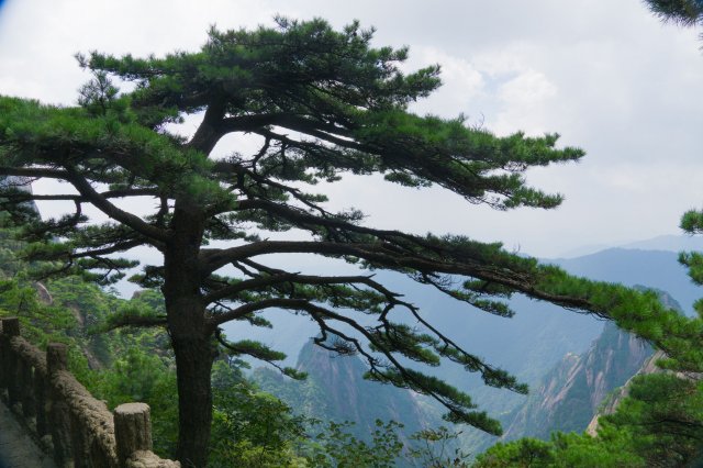 2019_09_08_111549_016