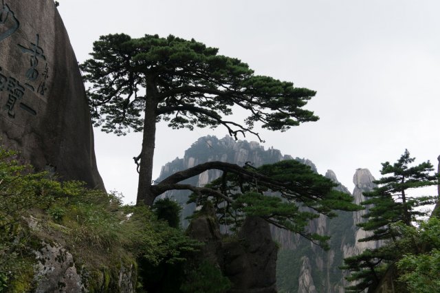 2019_09_08_113711_017