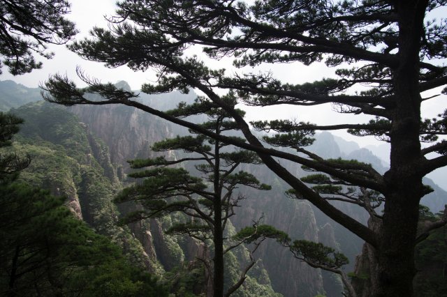 2019_09_09_123432_163