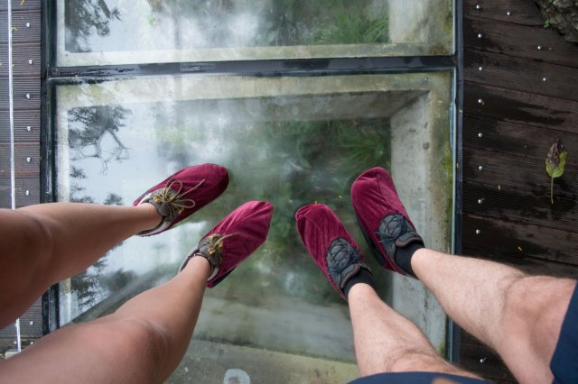 2019_09_11_085206_173