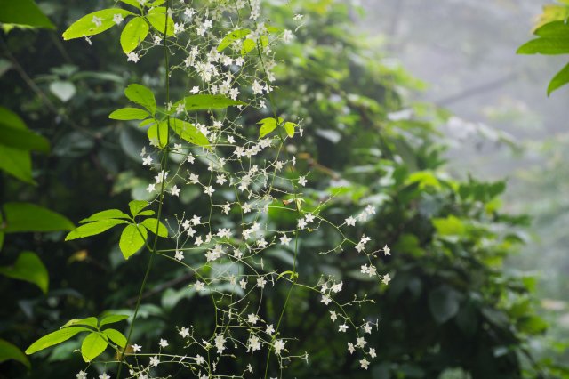 2019_09_11_092950_041