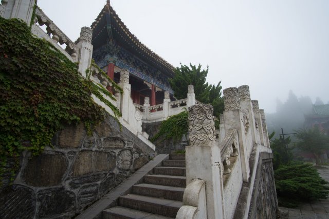 2019_09_11_110619_178