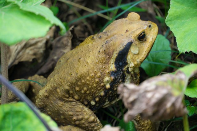 2019_09_11_114403_047