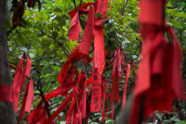 2019_09_11_125702_055