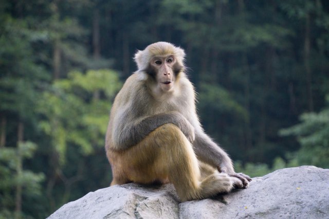 2019_09_12_163431_063