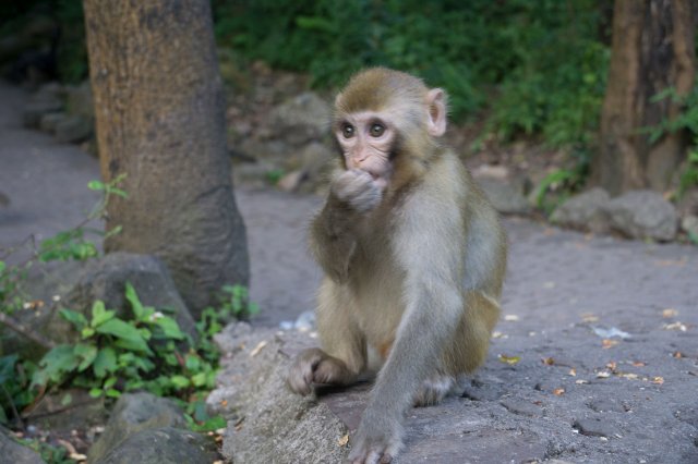 2019_09_12_163649_065