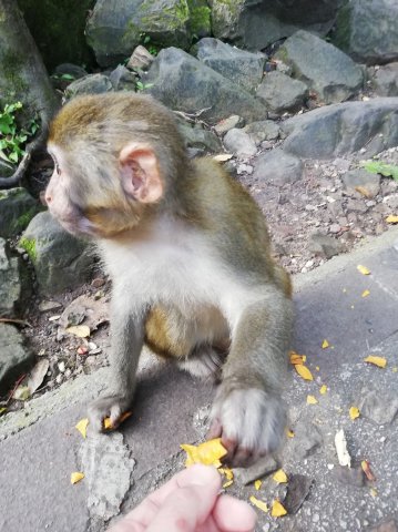 2019_09_12_164115_035