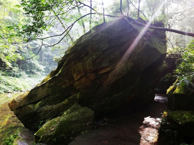 2019_09_13_085854_048