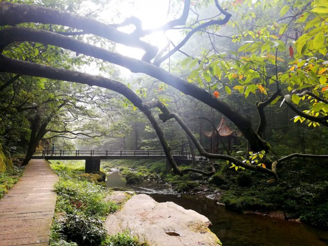 2019_09_13_090759_047