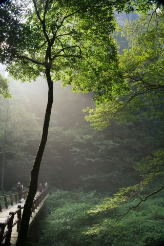 2019_09_13_092139_071