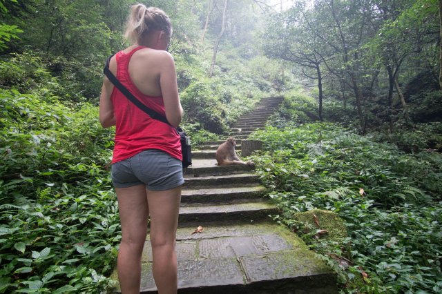 2019_09_13_101431_120