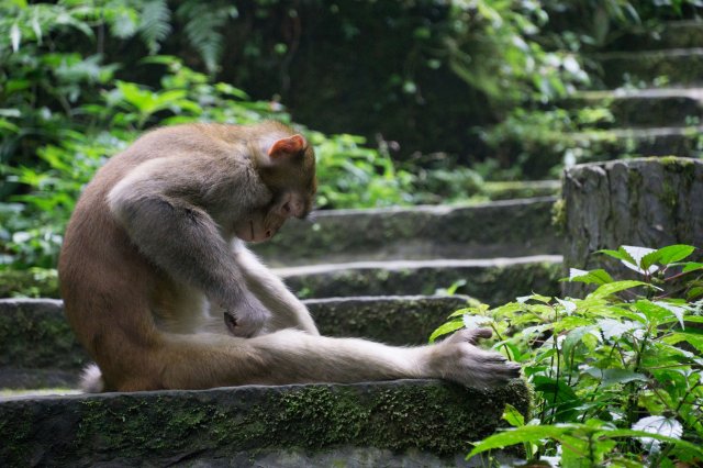 2019_09_13_101433_073