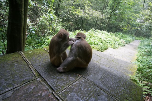 2019_09_13_101806_121