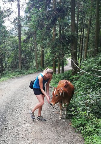 2019_09_15_133556_061