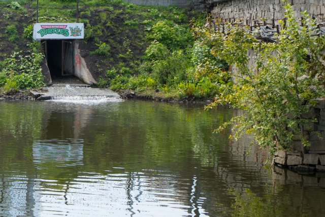 2019_08_07_104603_025