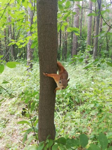 2019_08_09_123001_013