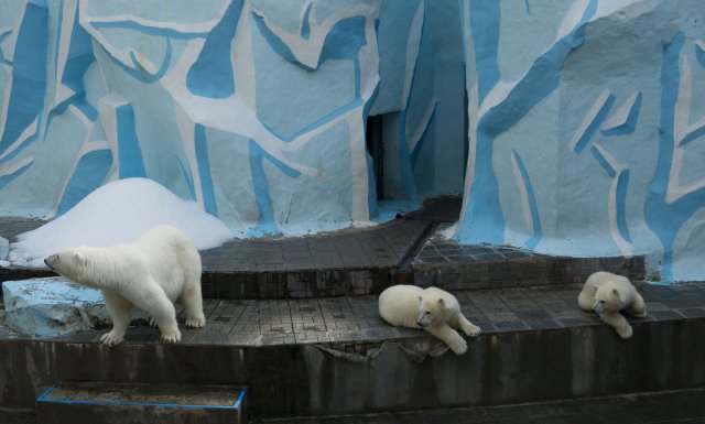 2019_08_11_151814_007